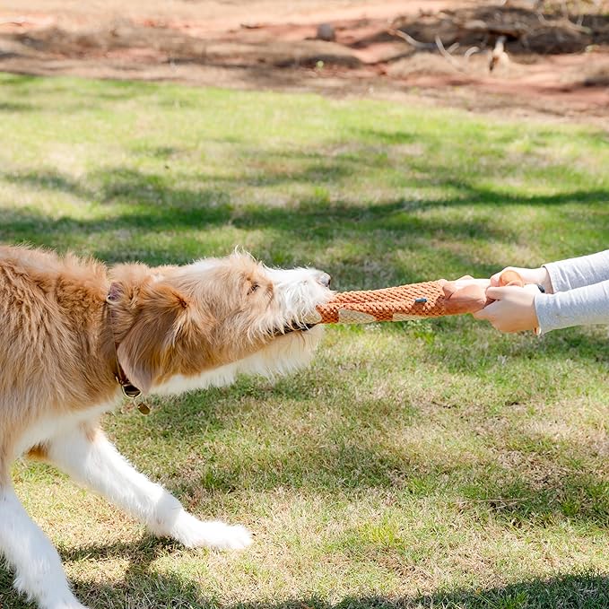 Crinkle Dog Toy Plush Toy - Long Tug-of-War Squeaky Dog Toy Boredom Buster Toys with Snack Pockets - Durable Enrichment Mentally Stimulating Toys for Dogs Small, Medium, Large - Squirrel