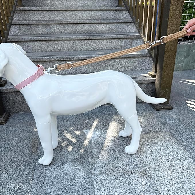 Double Ended Dog Leash,for Obedience Training Easy to Use,Lightweight,Soft for Large and Medium Dogs (Light Military Tan, 1M*2.5CM)