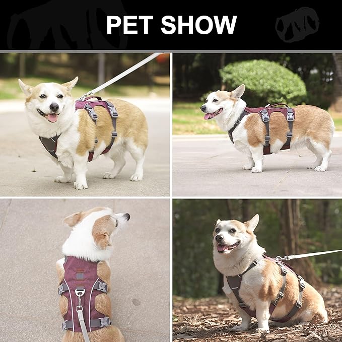 Escape Proof Dog Harness Medium Sized Dog, Reflective No Pull Dog Vest with Handle, Lightweight Full Body Pet Harness Adjustable for Walking,Training(Blue,Chest:17-32")