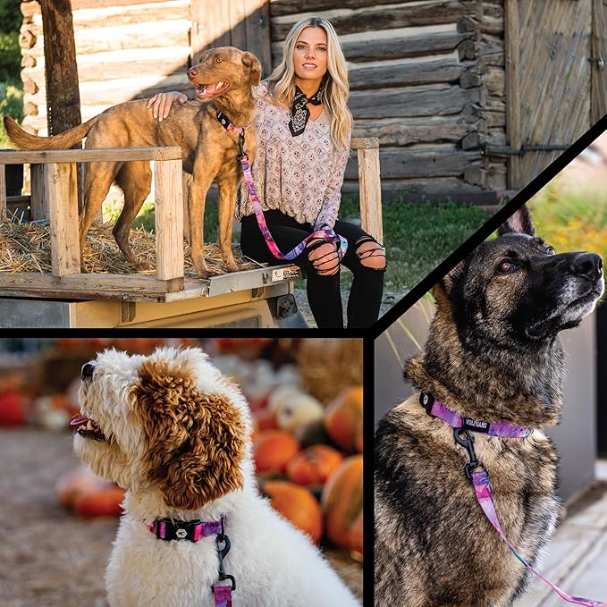 Wolfgang Heavy Duty Martingale Dog Collar with Quick Release Nylon Buckle for Walking & Training, Daydream Print, Large