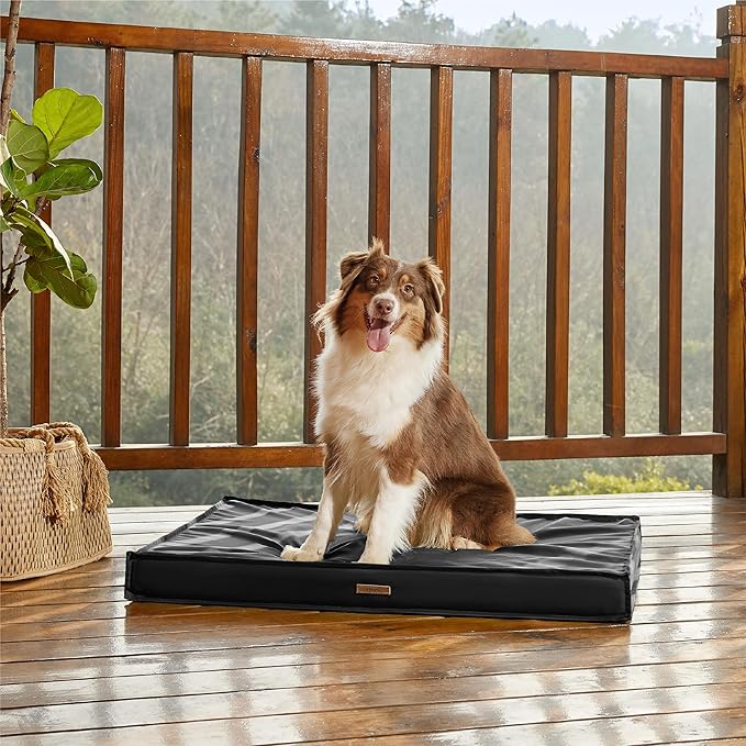 LE SURE Outdoor Waterproof Dog Bed for Medium Sized Dogs, Orthopedic Egg Crate Foam Pet Bed with Oxford Fabric Surface and Removable and Durable Cover, Machine Washable, 30''x20'', Black