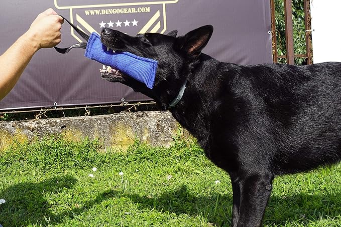 Dingo Gear Nylcot Bite Tug for Dog Training K9 IGP & Fun, 1 Handle, Orange 28 x 7 cm