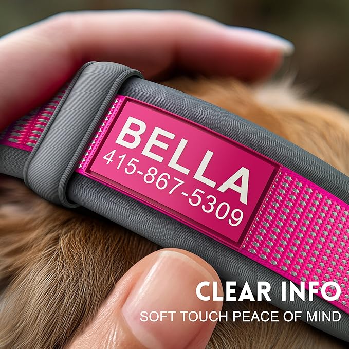 Personalized Dog Collar with Name & Phone Number - Durable Buckle, Ultra-Visible Fully Reflective, and Wide Comfort-Fit Padded Neoprene for Small, Medium, Large Dogs and Cats