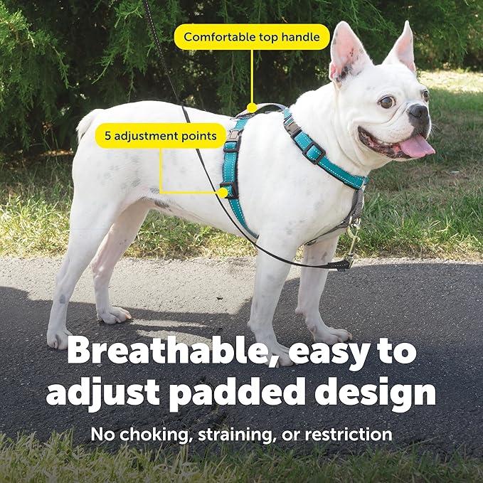 PetSafe 3-in-1 Harness - Comfortable Easy-Walk Dog Chest Harness with Front Leash Attachment to Reduce Pulling, Choking & Gagging - Dog Obedience Gear - Small - Teal