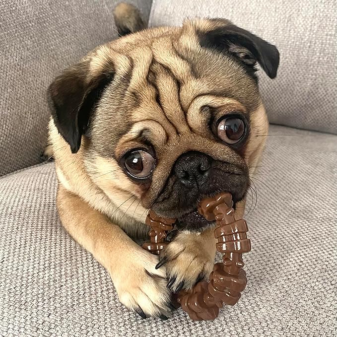 Nylabone Power Chew Customer Favorites Bundle, Tough Dog Toys for Aggressive Chewers, Christmas Dog Toy & Thanksgiving Dog Toys, Small Dogs - Up to 25 lbs (3 Pack)