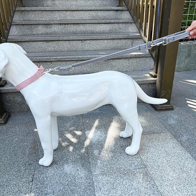 Double Ended Dog Leash,for Obedience Training Easy to Use,Lightweight,Soft for Large and Medium Dogs (Grey, 1M*2.5CM)