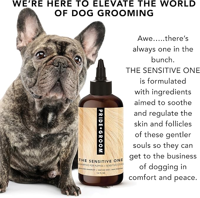 Pride and Groom The Sensitive One Dog Shampoo – All Natural Blend of Essential Oils & Gentle Ingredients for Puppies & Dogs with Sensitive Skin & Coats to Soothe and Regulate Skin & Follicles – 16oz