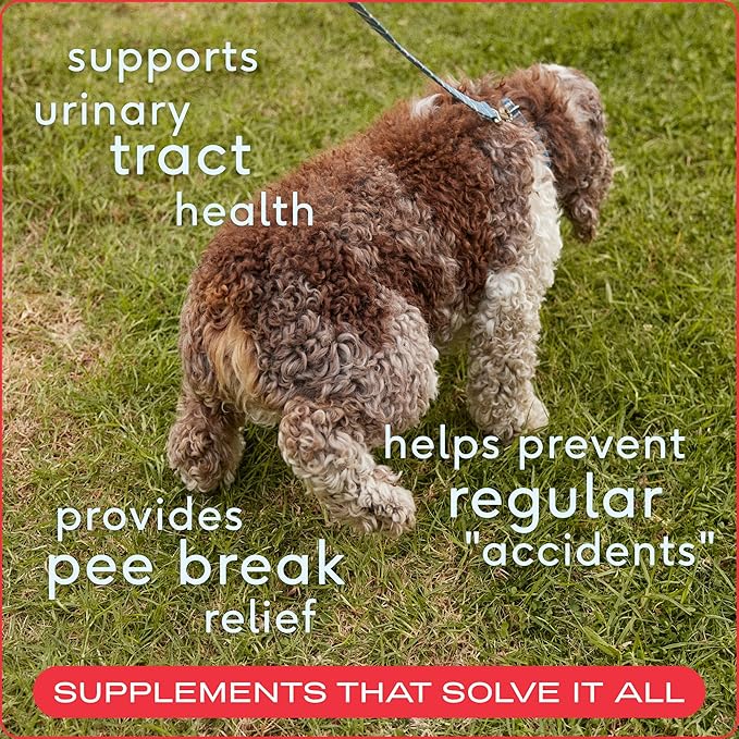 Native Pet Dog UTI Treatment - Cranberry Supplement for Dogs Bladder Control & Kidney Support - Prevent Urinary Tract Infection and Urinary Incontinence - Made with Real Cranberry Extract - 120 Chews
