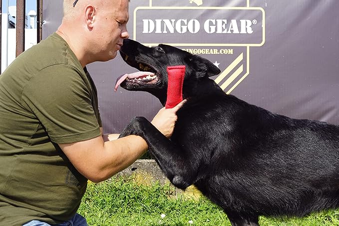 Dingo Gear French Linen tug Toy for Dog, Dog Bumper for Training, Agility, tug of war, Dog bite Pillow for Strong Dog, 1handle 6" red S00059