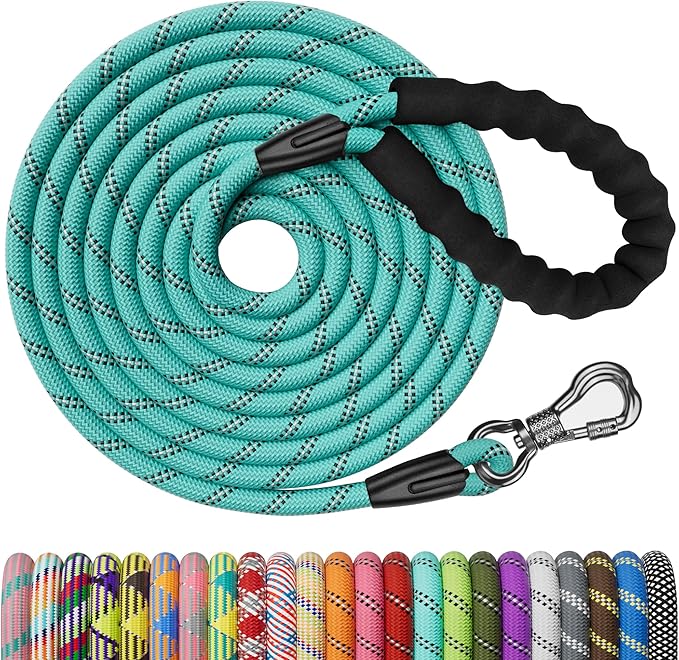 NTR 20FT Training Leash for Dogs, Reflective Nylon Rope with Swivel Lockable Hook and Comfortable Handle, Suitable for Small to Large Dogs - Teal