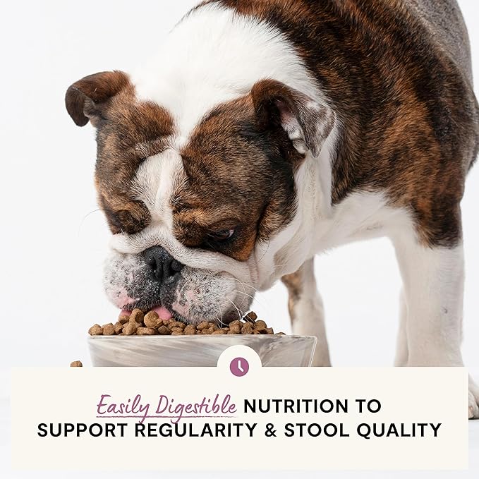 Open Farm, Digestive Health Dog Food, Veterinarian Formulated Easily Digestible Formula with Probiotics for Dogs, Wild-Alaskan Pollock & Oatmeal Recipe, 4lb Bag