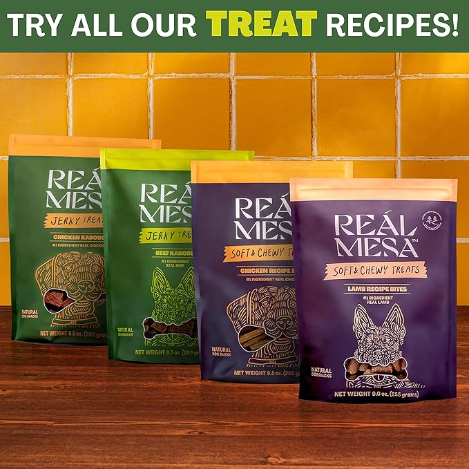 Beef Kabob Jerky Treats for Dogs - All-Natural, High-Protein Dog Snacks - Premium Beef Dog Treats for Training & Rewarding - Healthy, Delicious Kabobs (9.5oz)