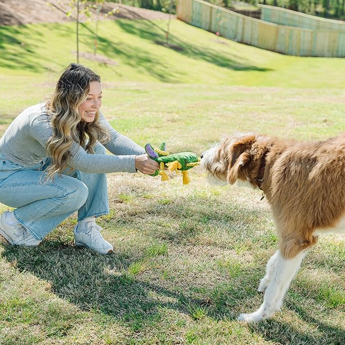 Squeaky Dog Stuffed Animals Chew Toy, Crinkle Paper Tug of War Rope Plush Dog Toy, Soft Tough Squeaker Dog Entertainment Toys for Home Alone, Fun Boredom Busters for Dogs - Dragon