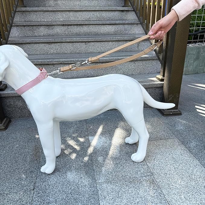 Double Ended Dog Leash,for Obedience Training Easy to Use,Lightweight,Soft for Large and Medium Dogs (Light Military Tan, 1M*2.5CM)