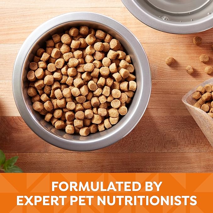 Nature′s Recipe Chicken, Barley & Brown Rice Recipe Dry Dog Food, 12 lb. Bag