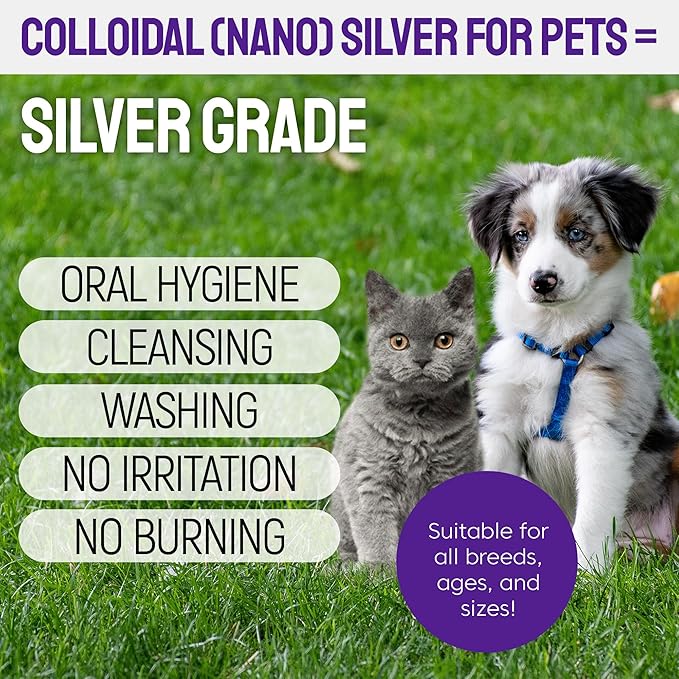 SILVER GRADE Teeth & Gum Dog Breath Spray for Pets Mouth – Cat Dental Care with Silver – Dog Breath Freshener Helps with Tartar & Caries – Plaque Remover for Daily Use – 4 Oz