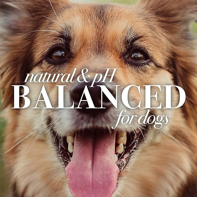 Burt's Bees for Pets Multipurpose Dog Wipes with with Honey, 98% Natural Origin Formulas, Hypoallergenic Dogs Wipe, Canine Cleaning Sheets for Paws and Butt, 2pk, 50ct