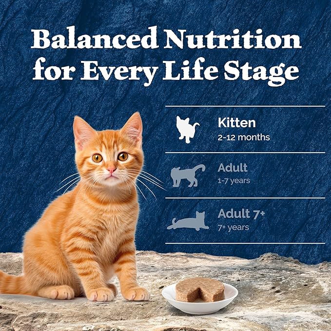Blue Buffalo Wilderness Kitten Food, High-Protein & Grain-Free Wet Cat Food Paté Variety Pack, Chicken & Salmon Recipes, 3-oz Cans (6 Count, 3 of Each)