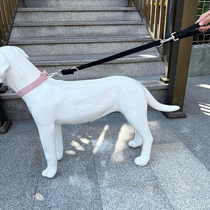 Double Ended Dog Leash,for Obedience Training Easy to Use,Lightweight,Soft for Large and Medium Dogs (Black, 1M*2.5CM)