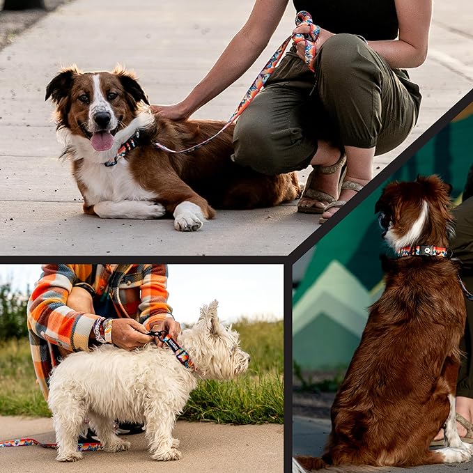 Wolfgang Heavy Duty Martingale Dog Collar with Quick Release Nylon Buckle for Walking & Training, MountainVibes Print, Medium