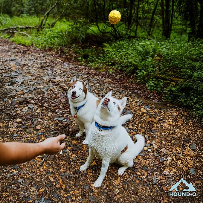 Hound2O Dog Toys | Squeaky Fetch Ball for Dogs | Yellow Floating Outdoor Toy - Easy to Clean and Made from Non Toxic Materials