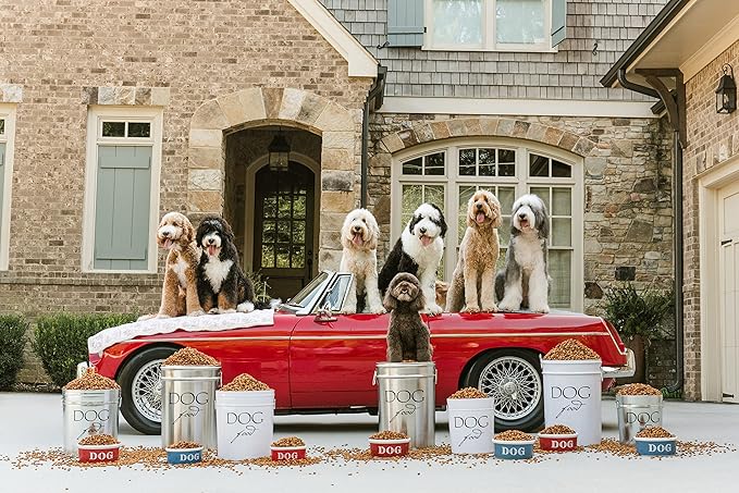 Harry Barker Pet Food Storage Collection, Classic Silver Food Storage - Medium