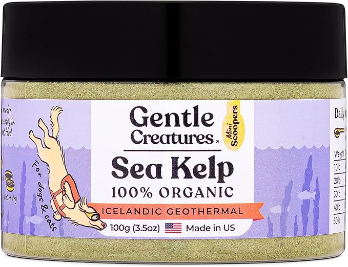 Gentle Creatures Sea Kelp Organic Supplement for Dogs and Cats, Icelandic Geothermal, 3.5oz, with 60+ Minerals and Vitamins, Made in US