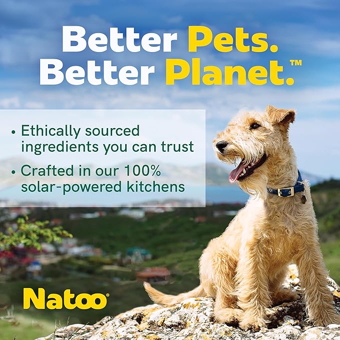 NATOO Biscuits for Small Dogs & Puppies Crunchy Dog Treats, Sweet Potato & Pumpkin Healthy Natural Canine Biscuits, Rich in Omega 6, Prebiotics & Fibers, Antioxidants for Immunity (8 oz)