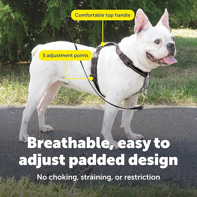 PetSafe 3-in-1 Harness - Comfortable Easy-Walk Dog Chest Harness with Front Leash Attachment to Reduce Pulling, Choking & Gagging - Dog Obedience Gear - Small - Black
