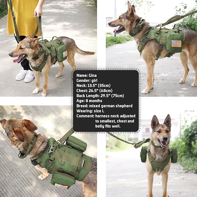 Forestpaw Tactical Dog Harness for Large Dogs,Tactical Dog Collar with Bungee Leash Set,No Pull Military Dog Harness for Walking Training,Adjustable for Medium Large Dogs,Green,Chest 19.5-41.5"