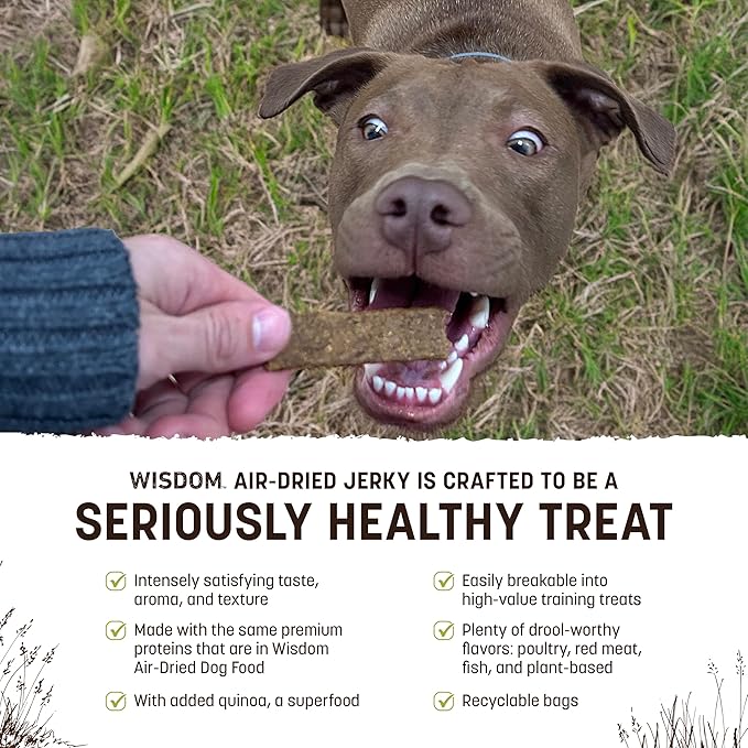 Earth Animal Wisdom Air-Dried Jerky from The Seed Recipe | Dog Treats | Dog Snacks | Premium Natural Plant-Based Jerky Strips | 4 oz |Made in The USA (Pack of 3)