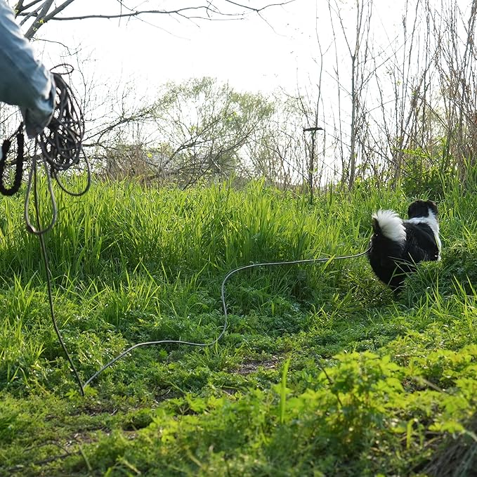 NTR Strong Dog Leash, 20FT Reflective Purple Rope with Swivel Lockable Hook and Padded Handle, Cat & Puppy Leash for Small to Large Dogs, Training, Playing, Camping, or Backyard