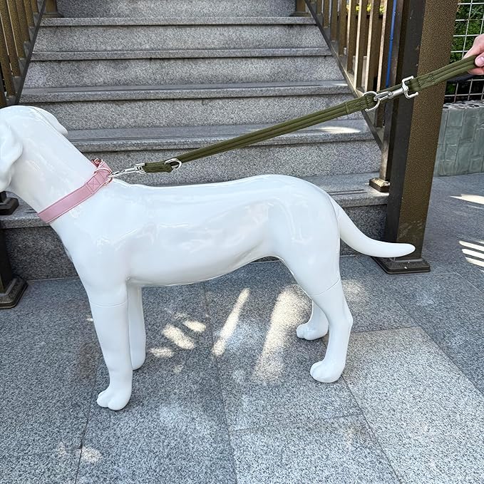 Double Ended Dog Leash,for Obedience Training Easy to Use,Lightweight,Soft for Large and Medium Dogs (Army Green, 1M*2.5CM)