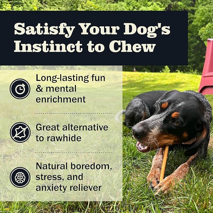 Redbarn Pet Products 12" Bully Sticks for Dogs, Case of 35