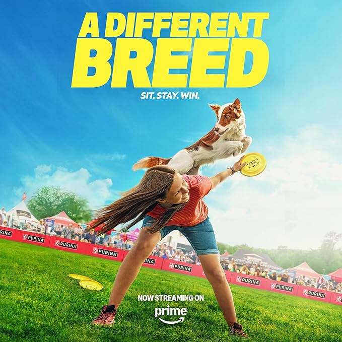 Purina Pro Plan Sport Performance 30/20 Chicken and Rice Formula High Protein Dog Food - 6 lb. Bag