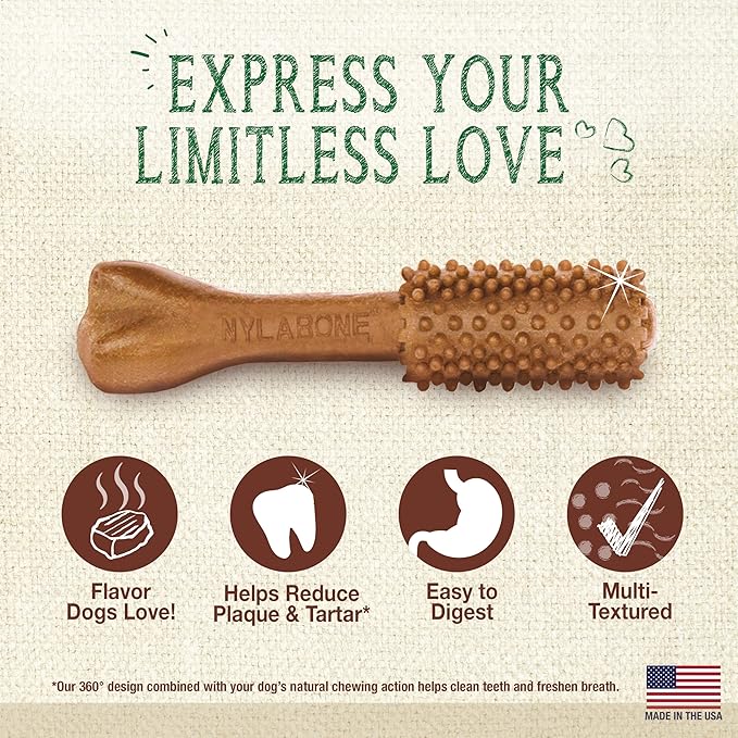 Nylabone Nutri Dent Dog Dental Chews, Natural Teeth Cleaning Dental Treats & Breath Freshener for Dogs, Filet Mignon Flavor, Medium (40 Count)