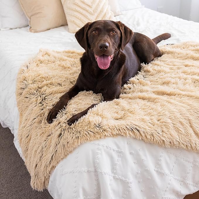 Best Friends by Sheri Calming Shag Dog Blanket – Ultra Soft Faux Fur Pet Throw, Anxiety-Relief, Lightweight Warm Bed Cover for Dogs and Cats, Machine Washable, Taupe, 40" x 50"