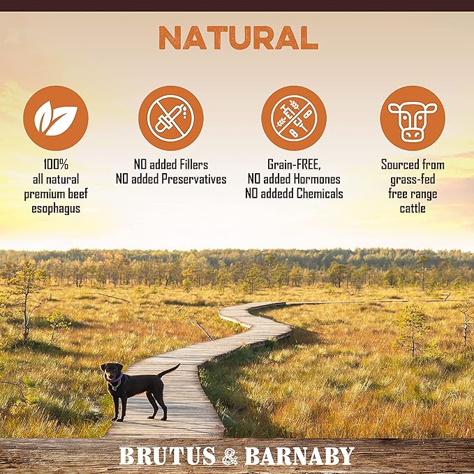 Gullet Sticks for Dogs, All Natural Single Ingredient Beef Jerky Chews, Healthy Beef Gullet Sticks, Naturally Occurring Glucosamine & Chondroitin, Can Help Joint Function for Puppies or Senior Dogs