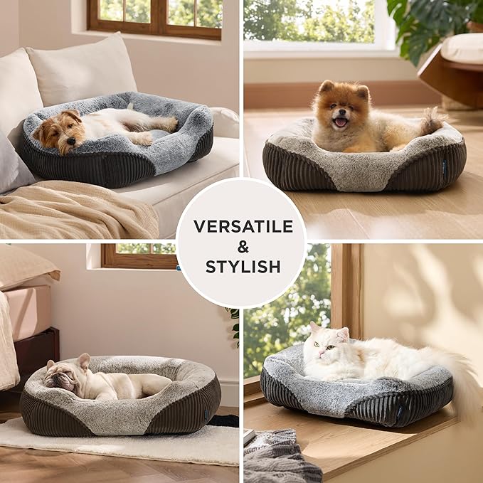 Bedsure Washable Dog Bed Small Medium Size Dog - Rectangle Fluffy Plush Pet Bed Puppy Bed, Comfy Corduroy Fleece and Nonskid Bottom,25x21x7inches,Suitable for Pet Up to 20lbs,Grey