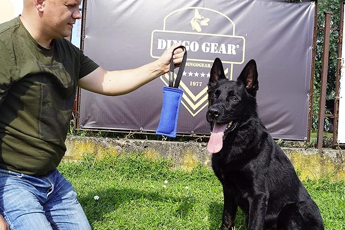 Dingo Gear French Linen tug Toy for Dog, Bumper Toy for Training, Agility, tug of war, bite Pillow for Strong Dog, 1handle 8in Blue S00071