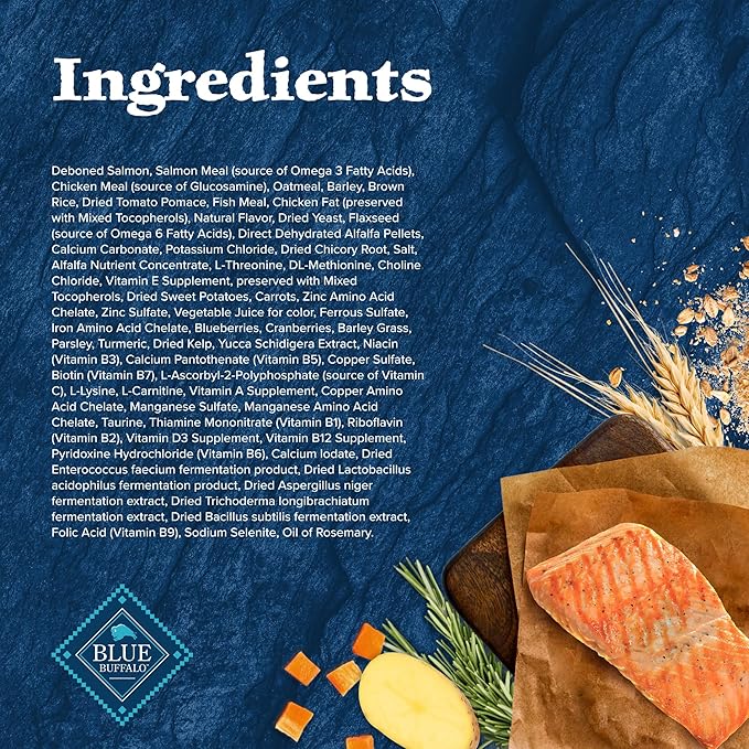Blue Buffalo Wilderness Adult High-Protein Dry Dog Food Natural Salmon WITH WHOLESOME GRAINS