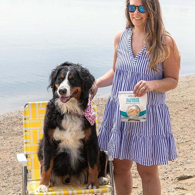 Polkadog Crunchy Alaskan Cod Chips – Single Ingredient Dog Treats, 100% Wild-Caught Cod from Alaska – High-Protein, Omega-3 Rich, Grain-Free, All Natural Snacks – Handcrafted in USA - 2.75 oz