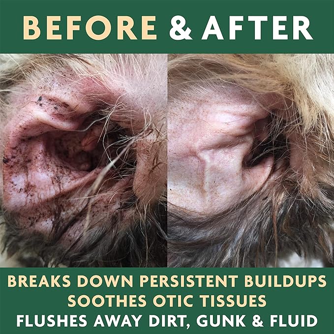 EcoEars Dog Ear Cleaner Solution–8 Oz. Natural Dog Ear Multi-Action Formula for Large or Small Canines – Ear Drops to Alleviate Itchy Ears, Shaking, & Otic Discharge–Puppy Supplies by Vet Organics 2pk