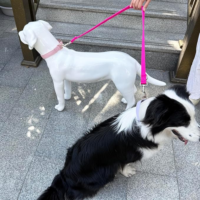 Double Ended Dog Leash,for Obedience Training Easy to Use,Lightweight,Soft for Large and Medium Dogs (Fuchsia, 1M*2.5CM)