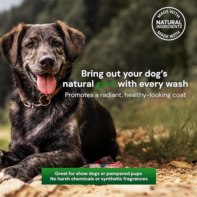 Nourishing 2 in 1 Dog Shampoo and Conditioner– Natural Shine Formula with Caviar, Aloe & Bergamot for Sensitive Skin, Moisturizes & Protects, 16oz Bottle, Made in USA
