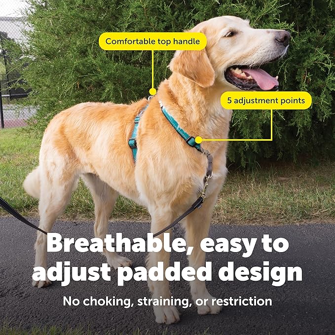 PetSafe 3-in-1 Harness - Comfortable Easy-Walk Dog Chest Harness with Front Leash Attachment to Reduce Pulling, Choking & Gagging - Dog Obedience Gear - Large- Teal