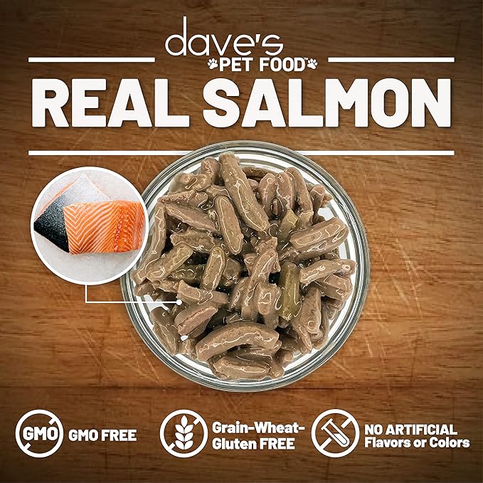Dave's Pet Food Grain Free Wet Cat Food (Shredded Salmon in Gravy), Made in Canada Naturally Healthy Canned Cat Food, Added Vitamins & Minerals, Wheat, GMO & Gluten-Free, 5.5 oz (24 Pack)