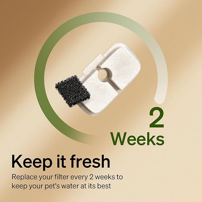 PETLIBRO Cat Water Fountain Filter, 4 Packs Cat Fountain Filter Replacement & Sponges for Dockstream WF106/WF116/WF105/WF115/WF005/WF305, 2-Month Set Easy-Swap for PETLIBRO Pet Fountain Filter