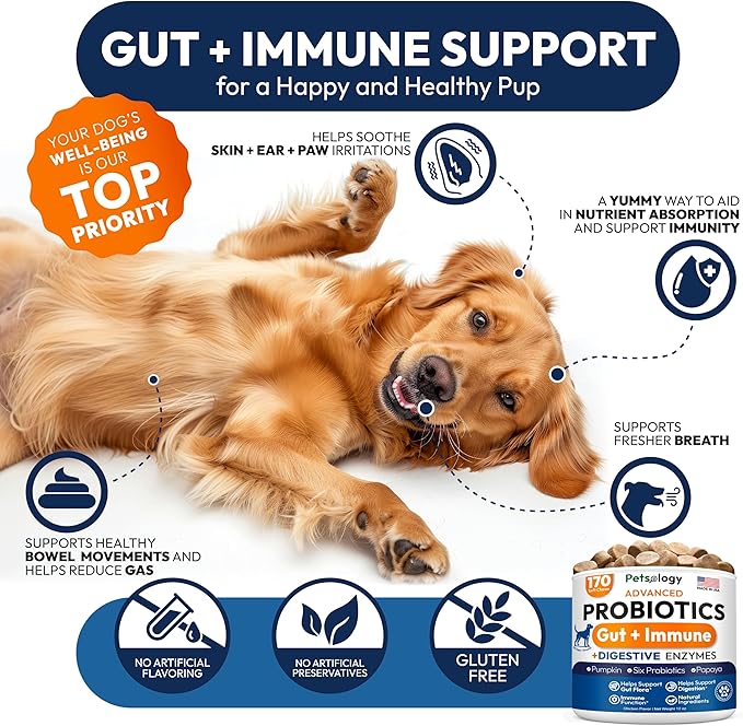 Probiotics for Dogs - 170 Dog Probiotics Chews - Digestive Enzymes & Prebiotics - Support Gut Health, Diarrhea, Gas & Constipation Relief - Itchy Skin, Allergies, Yeast Balance - Advanced Supplement