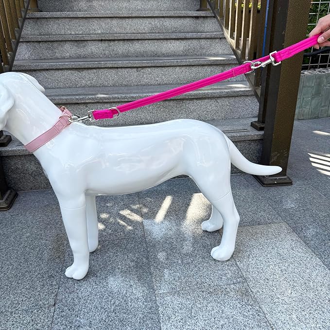 Double Ended Dog Leash,for Obedience Training Easy to Use,Lightweight,Soft for Large and Medium Dogs (Fuchsia, 1M*2.5CM)